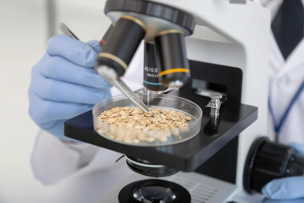 The Chemistry of Flavor: Exploring Taste, Texture & Aroma